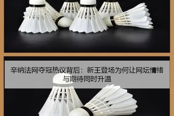 辛纳法网夺冠热议背后：新王登场为何让网坛情绪与期待同时升温